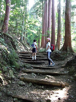 [写真]七面山