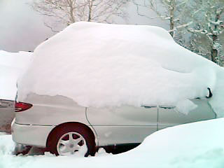 [写真]雪に埋もれた車