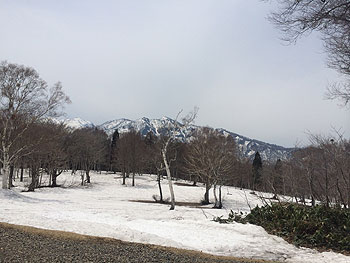 [写真]持ちこたえた雪