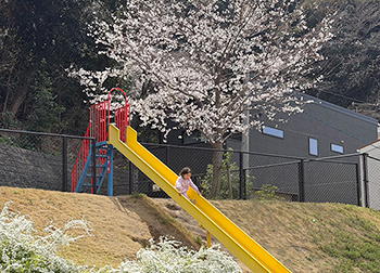 [写真]長い滑り台