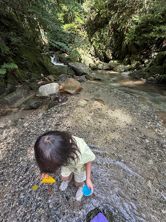[写真]小川で水遊び
