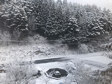 [写真]一晩で雪が積もりました