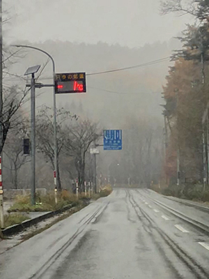 [写真]一晩で雪が積もりました