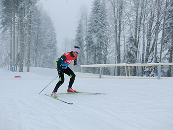 [写真]ソチパラリンピックのスプリントコースを滑走する新田佳浩
