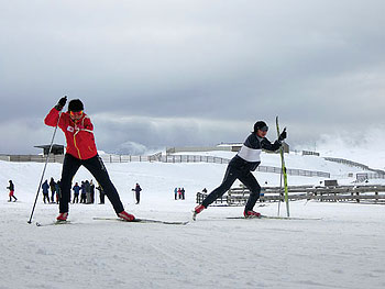 [写真]スピードメニュートレーニングする出来島桃子選手と阿部友里香選手