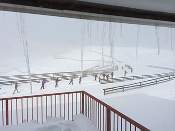 [写真]吹雪