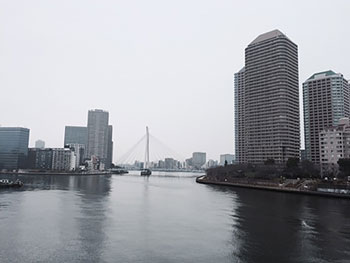 [写真]佃大橋から隅田川を見る