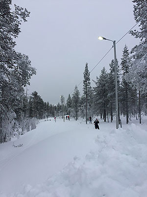 [写真]人工雪