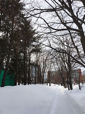 [写真]札幌大学正門前の雪の積もった道