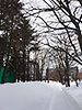 [写真]札幌大学正門前の雪の積もった道