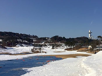 [写真]雪不足のピョンチャンパラリンピック会場