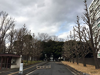 [写真]湯島合同庁舎入口