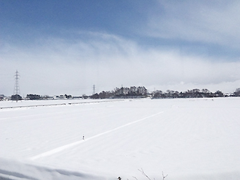 [写真]帰りの札幌、大雪でした