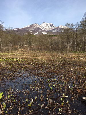 [写真]妙高山