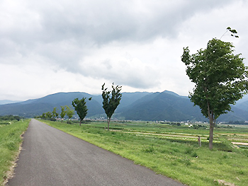 [写真]千曲川の河川敷