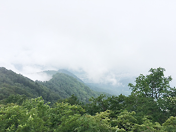 [写真]あいにく景色は見えなかったです