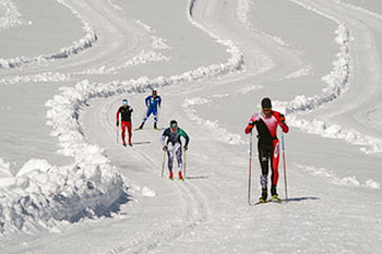 [写真]雪上トレーニングするパラノルディックスキー日本チーム4人