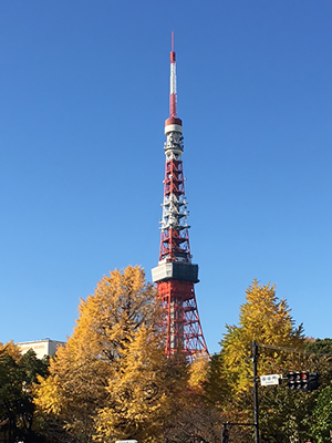 [写真]紅葉と東京タワー