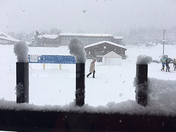 [写真]柵に積った雪