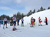 [写真]スプリント準決勝スタート前の新田選手