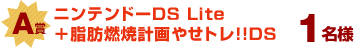A賞 ニンテンドーDS Lite＋脂肪燃焼計画やせトレ!!DS 1名様