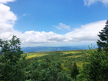 [写真]八甲田山からの下山途中