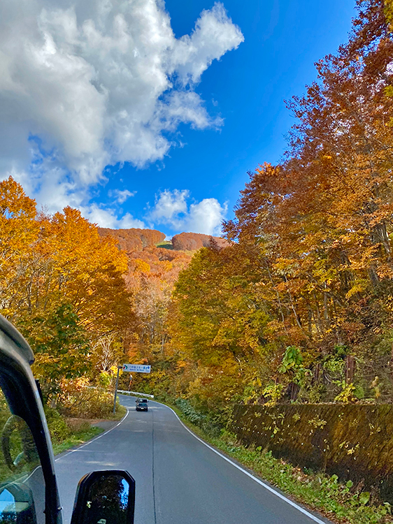 [写真]八甲田連峰の紅葉