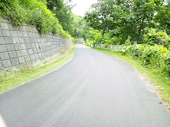 [写真]自宅前から練習場までの下り坂