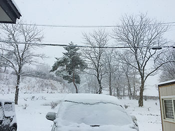 [写真]降り積もる雪