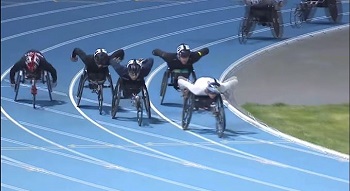 [写真]岸澤選手