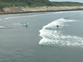 [写真]7月中旬、海の様子をチェック