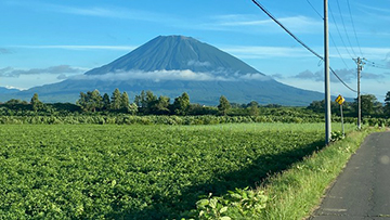 [写真]下界から見た羊蹄山