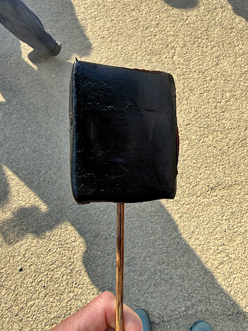 [写真]弘前公園名物の黒いコンニャクおでん