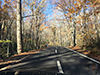 [写真]11月上旬奥入瀬渓流沿いの紅葉