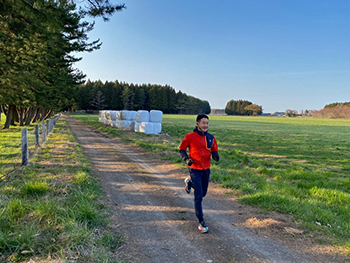 [写真]ランニングコースの牧草地