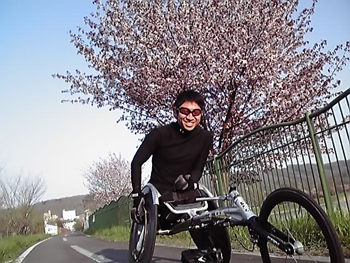 [写真]サイクリングロードの桜