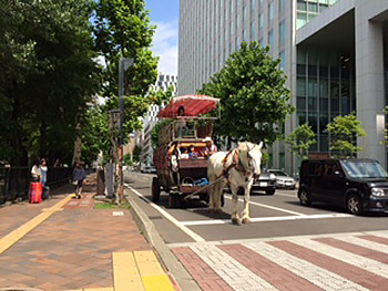 [写真]馬車