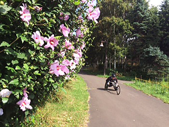 [写真]冬にはクロスカントリースキーのコースになる公園