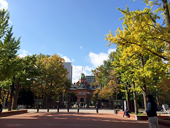 [写真]赤レンガテラスの紅葉