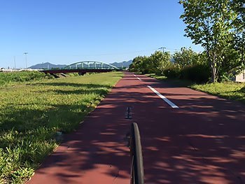 [写真]トレーニングしている河川敷。路面がくぼんでいる。