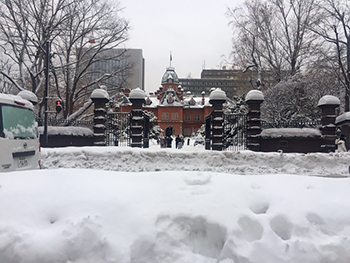 [写真]雪に覆われた会社の前