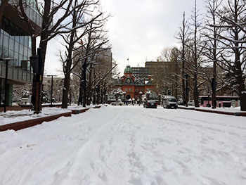 [写真]会社の下の広場の積雪
