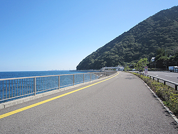 [写真]海岸沿いから見える大分市