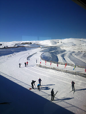 [写真]Snow Farmのクロスカントリースキーコース