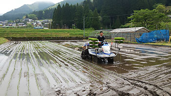 [写真]田植え機に乗る新田佳浩