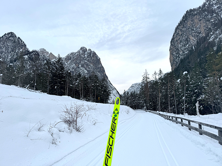 [写真]ツアーコースから見える山々