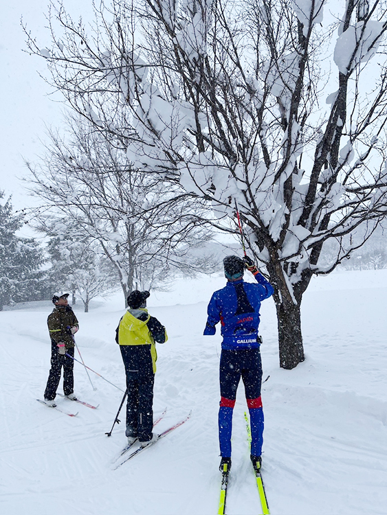[写真]木に積もった雪を子供たちと共に