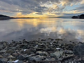 [写真]Steinkjerの町から見える海