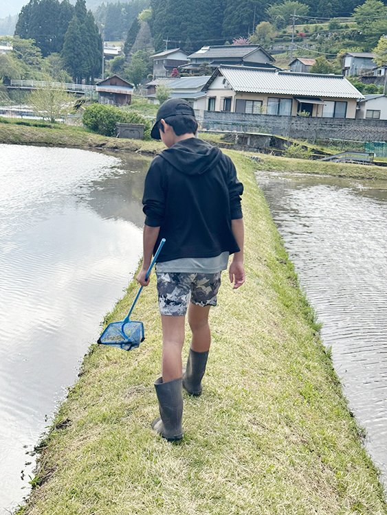 [写真]蛙を探す次男