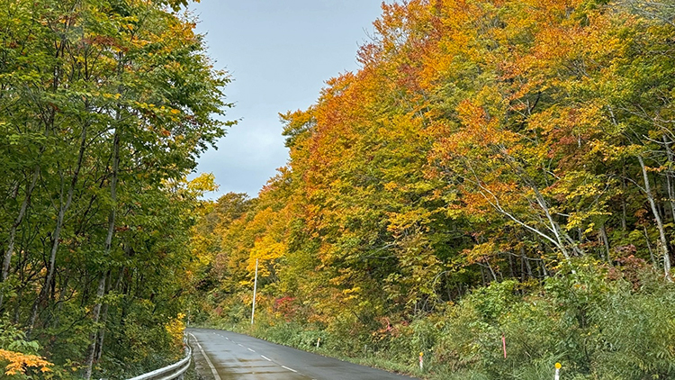 [写真]八甲田山の紅葉